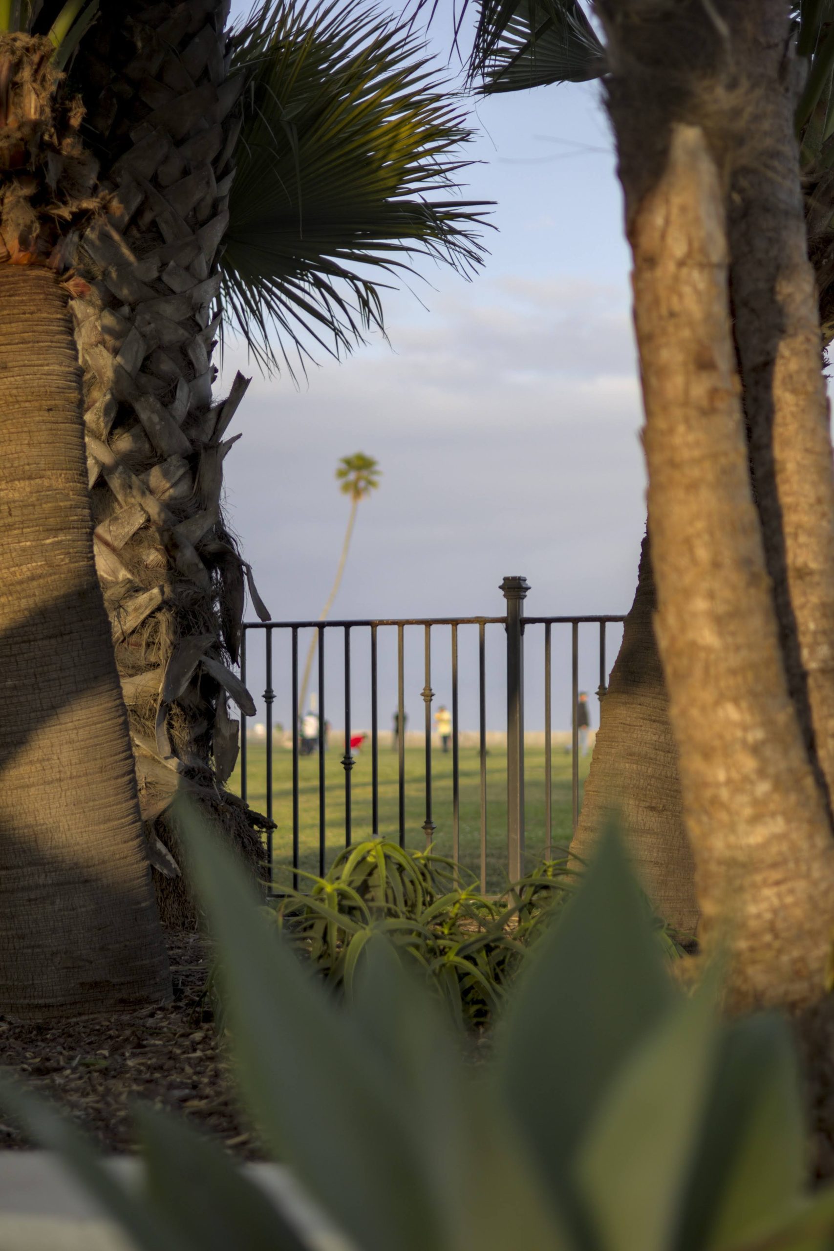 apa_awards_2025_0016